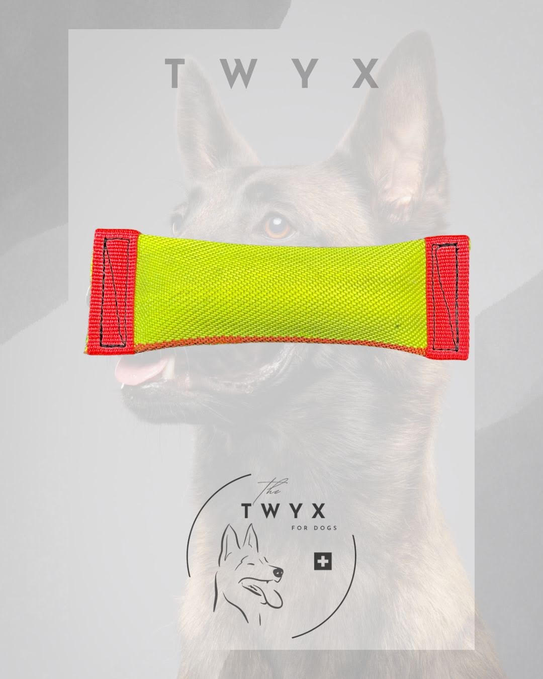 Tiny TWYX – Image 1