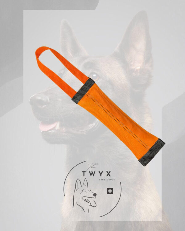 Tiny TWYX – Image 16