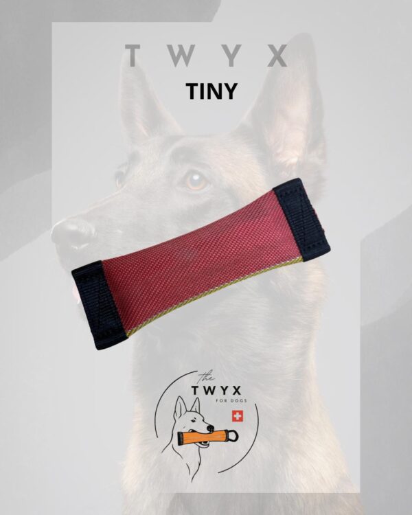 Tiny TWYX – Image 5