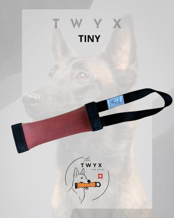 Tiny TWYX – Image 6