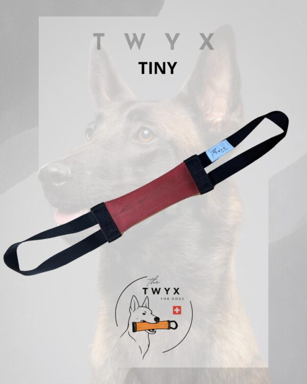 Tiny TWYX – Image 7