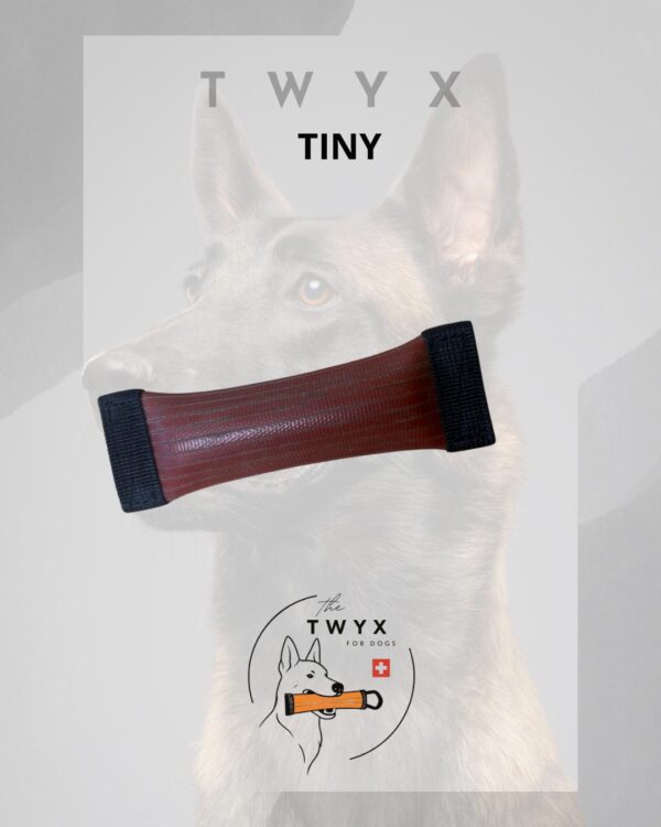 Tiny TWYX – Image 8