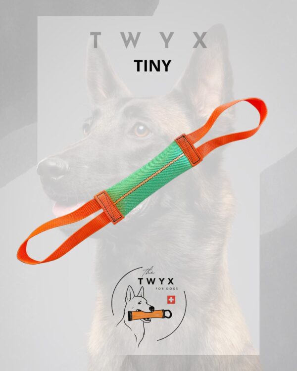 Tiny TWYX – Image 12