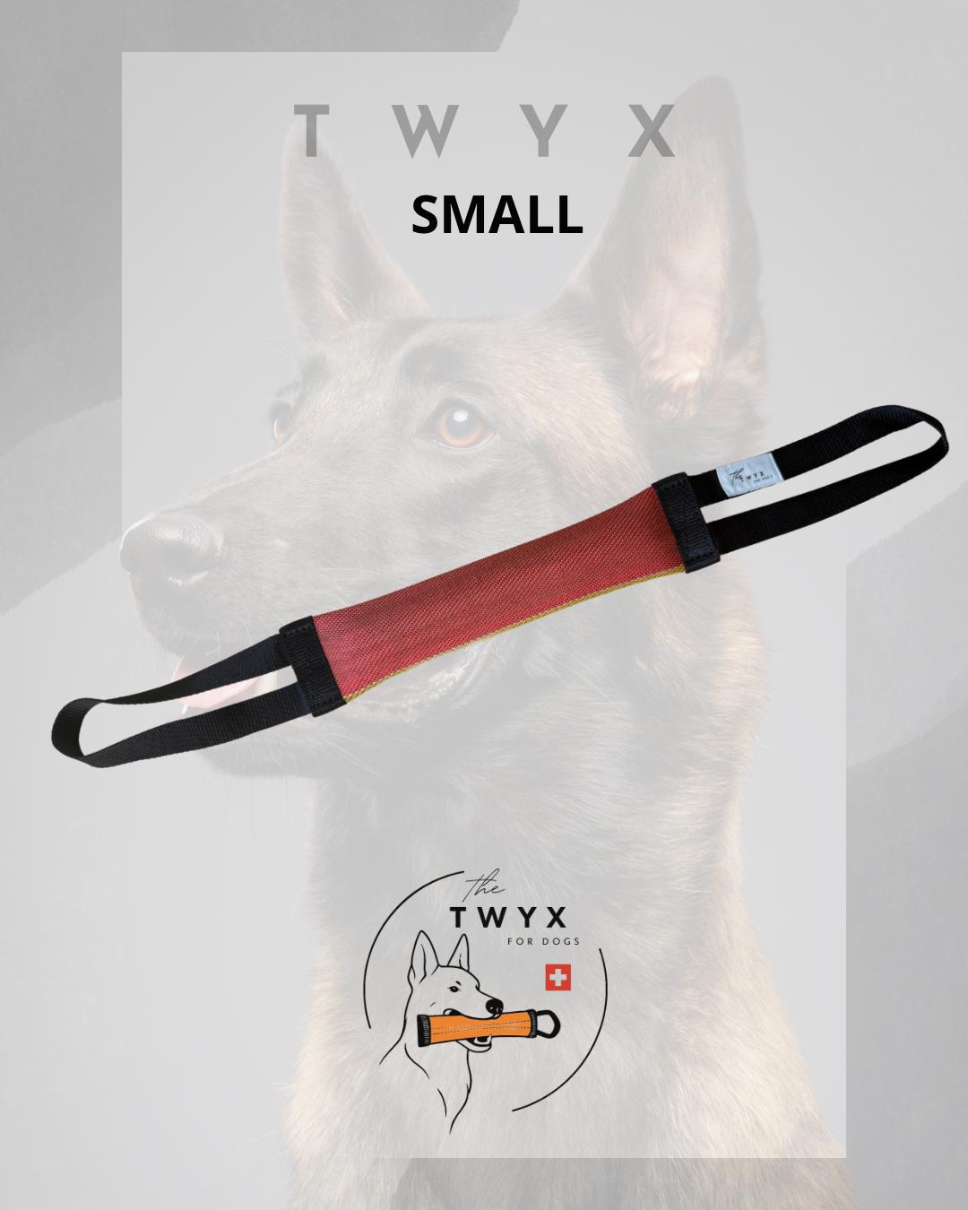 Small fin TWYX – Image 13