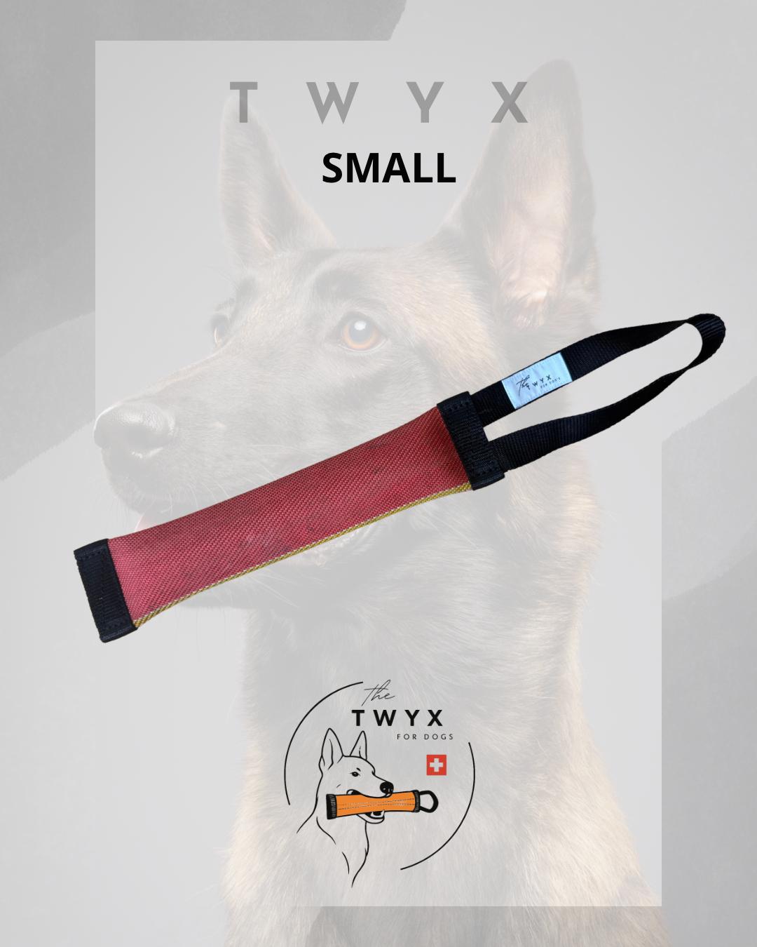 Small fin TWYX – Image 14