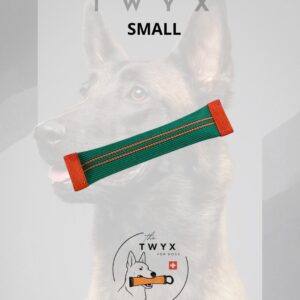 Small fin TWYX – Image 7