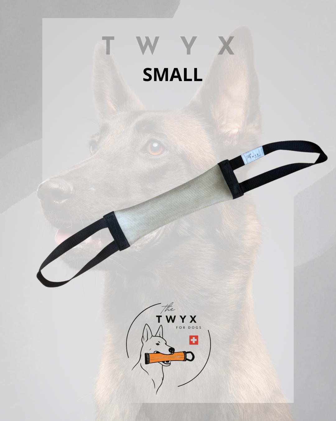 Small fin TWYX – Image 5