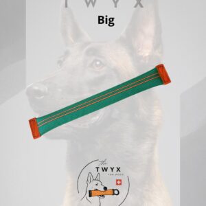 Big fin TWYX – Image 3