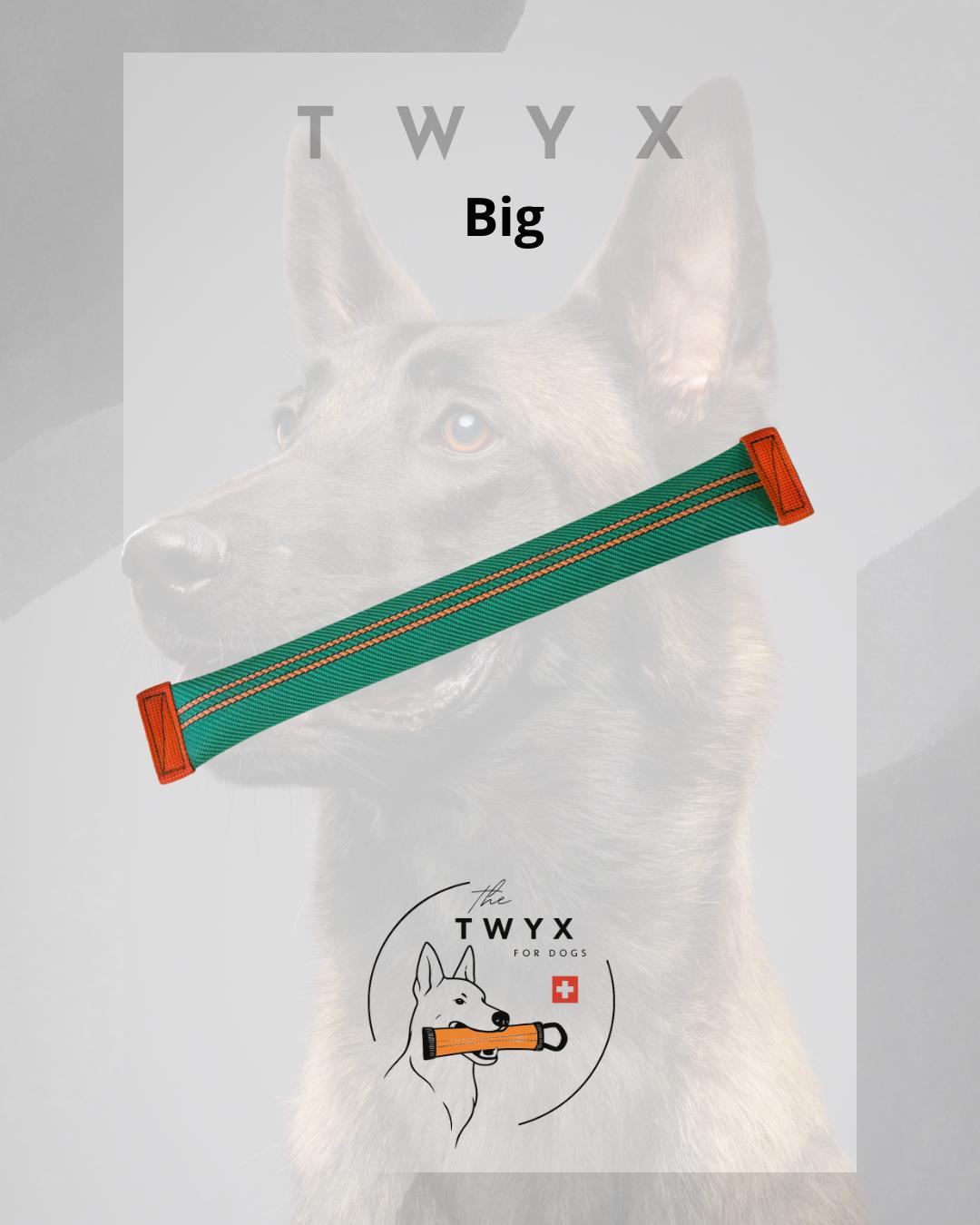 Big fin TWYX – Image 3