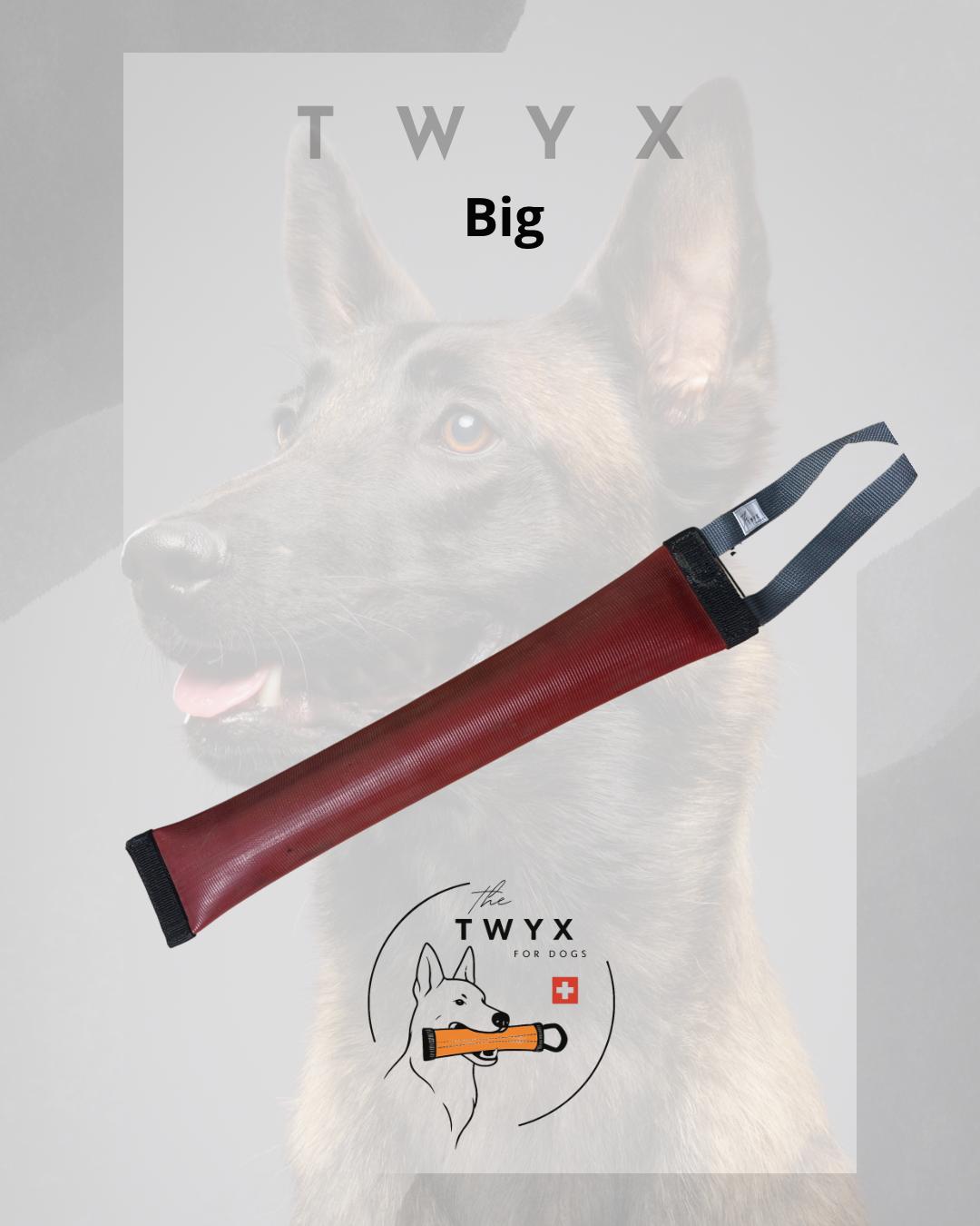 Big fin TWYX – Image 1