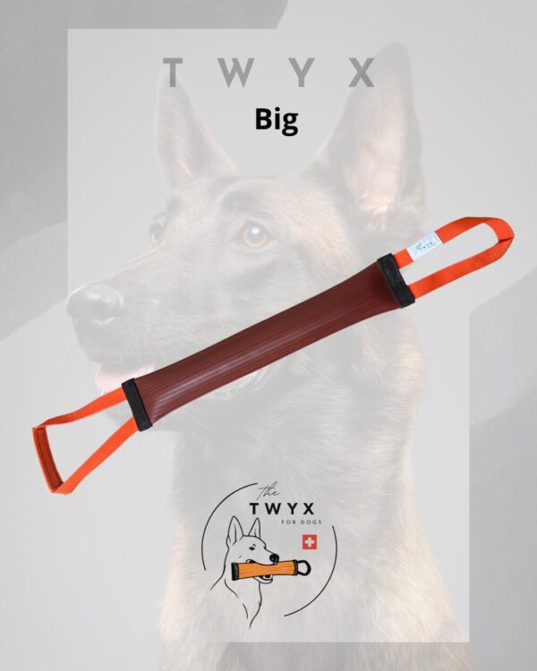 Big fin TWYX – Image 4