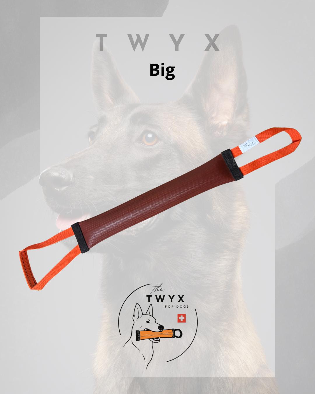 Big fin TWYX – Image 4