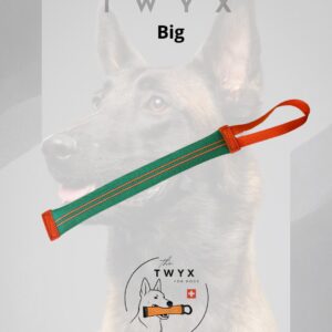 Big fin TWYX – Image 2