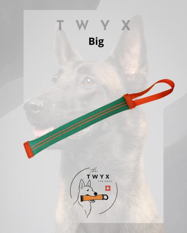 Big fin TWYX – Image 2