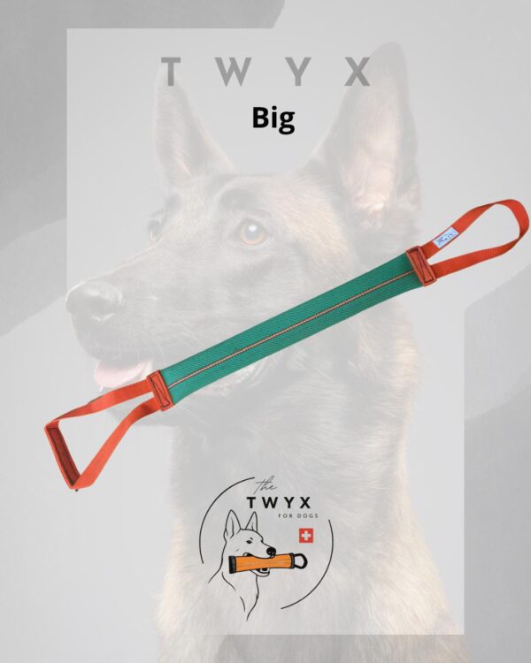 Big fin TWYX – Image 5