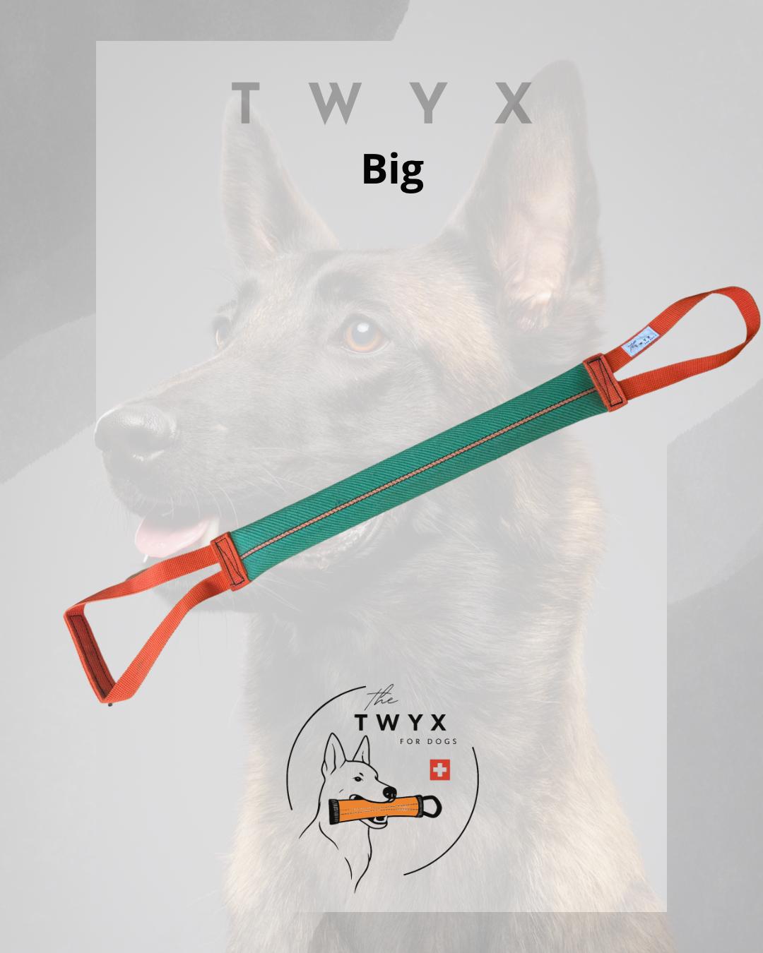 Big fin TWYX – Image 5