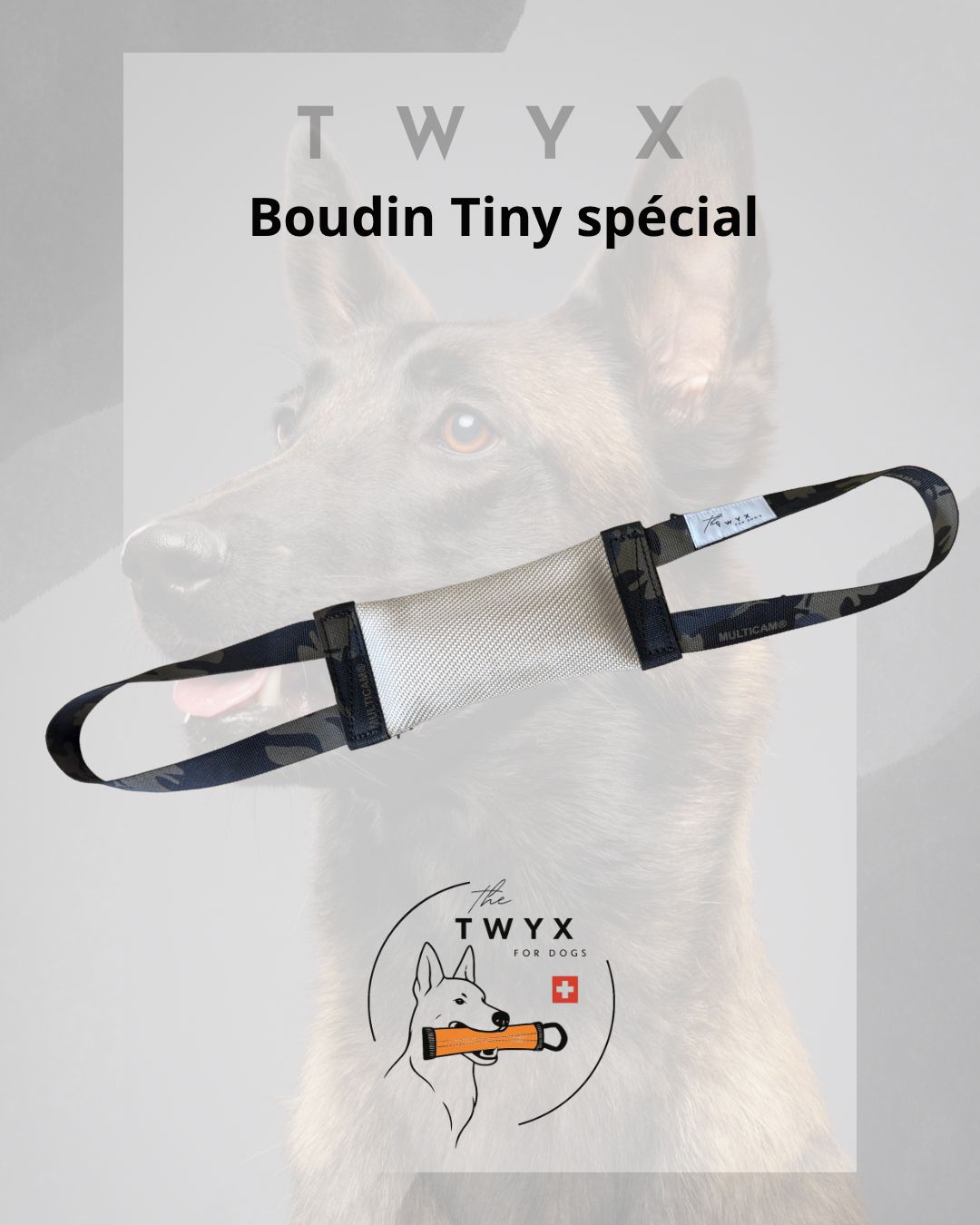 Tiny TWYX – Image 17