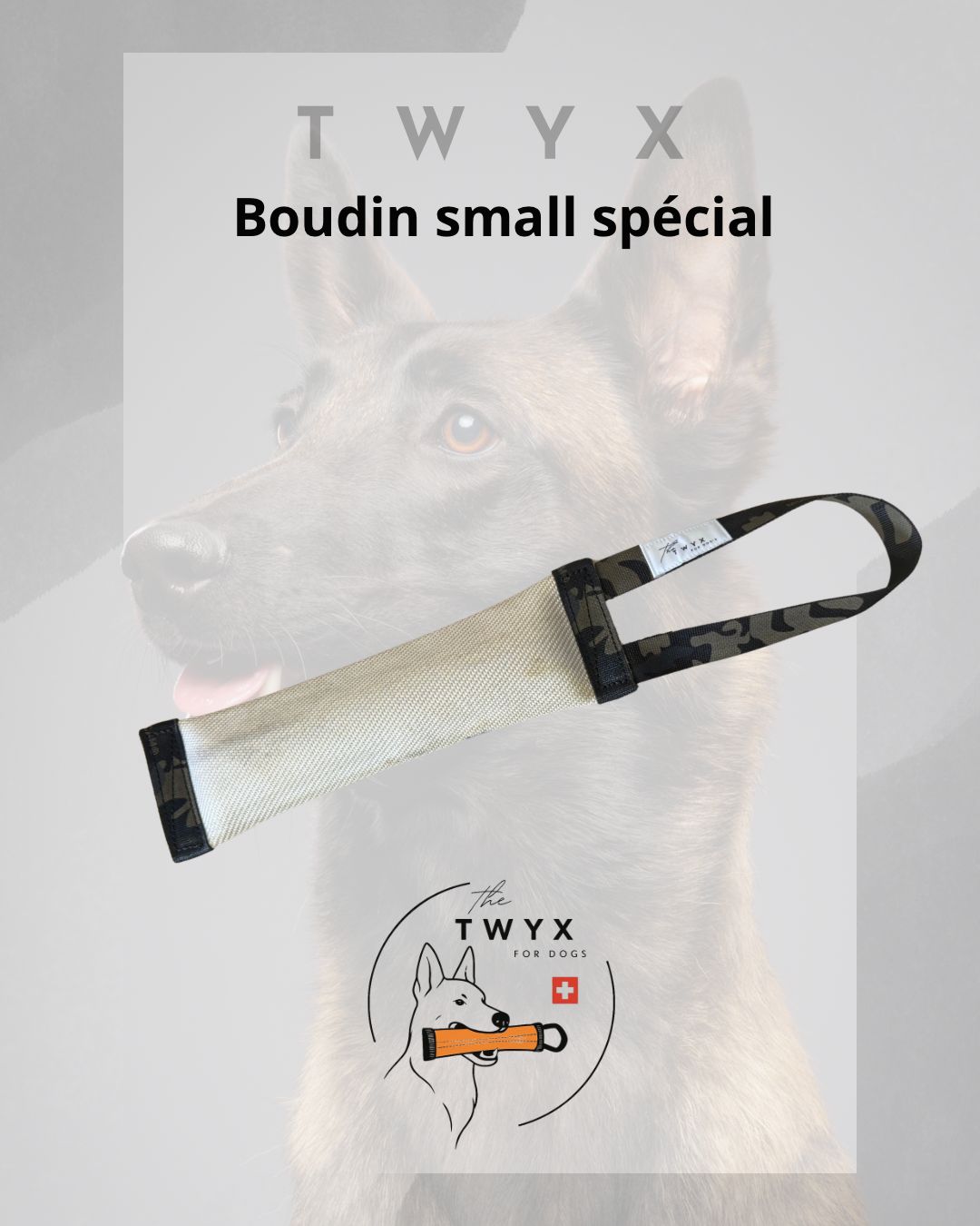 TWYX Edition limité – Image 5